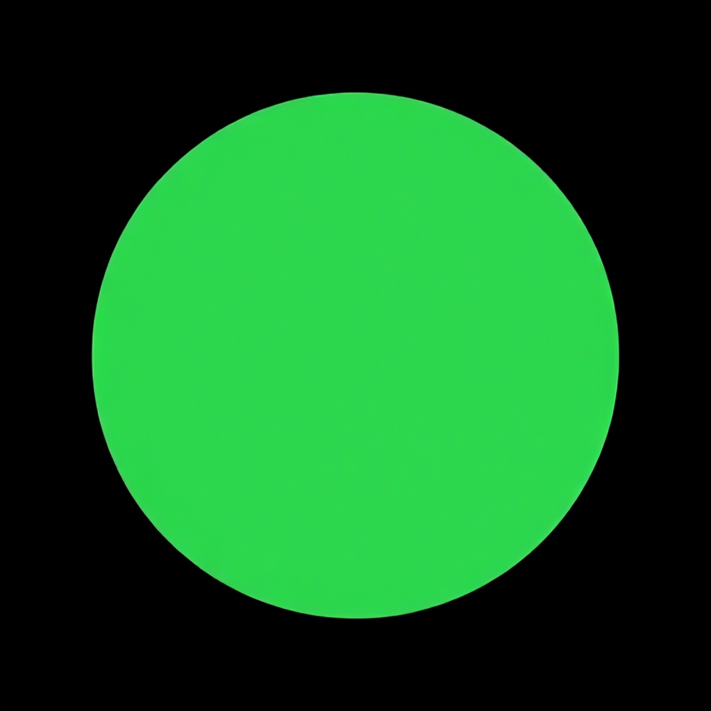 This image shows a solid, vibrant green circle set against a plain black background. The shape serves as a simple, minimalist icon that evokes a sense of completion or approval.