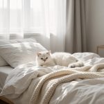 Texture and Comfort in the Lived-In Neutral Bedroom Interior Design Aesthetic